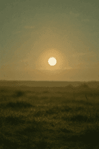 Symbolisches Beitragsbild für Persönlichkeitsentwicklung: Goldene Morgensonne über ruhiger Graslandschaft als Sinnbild für Neuanfang, Klarheit und innere Ziele